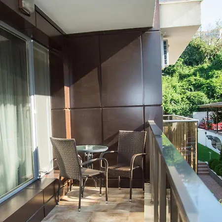 луксозен влас аристо