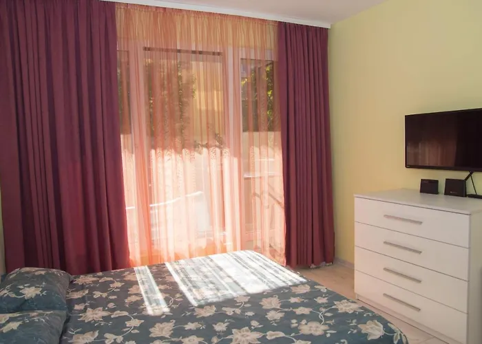 луксозен влас аристо * 스베티 블라스